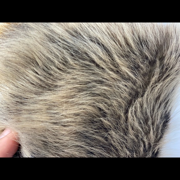 Ugg Australia Sheepskin Trapper Toscana Aviator - Picture 5 of 9